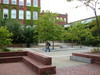 The plaza between Stoddard Labs and Salisbury Labs