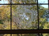 The WPI seal on the window of FAKA