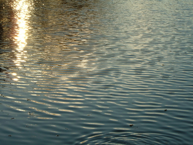 Institute Pond